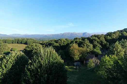 Paysage de l'Alta Rocca