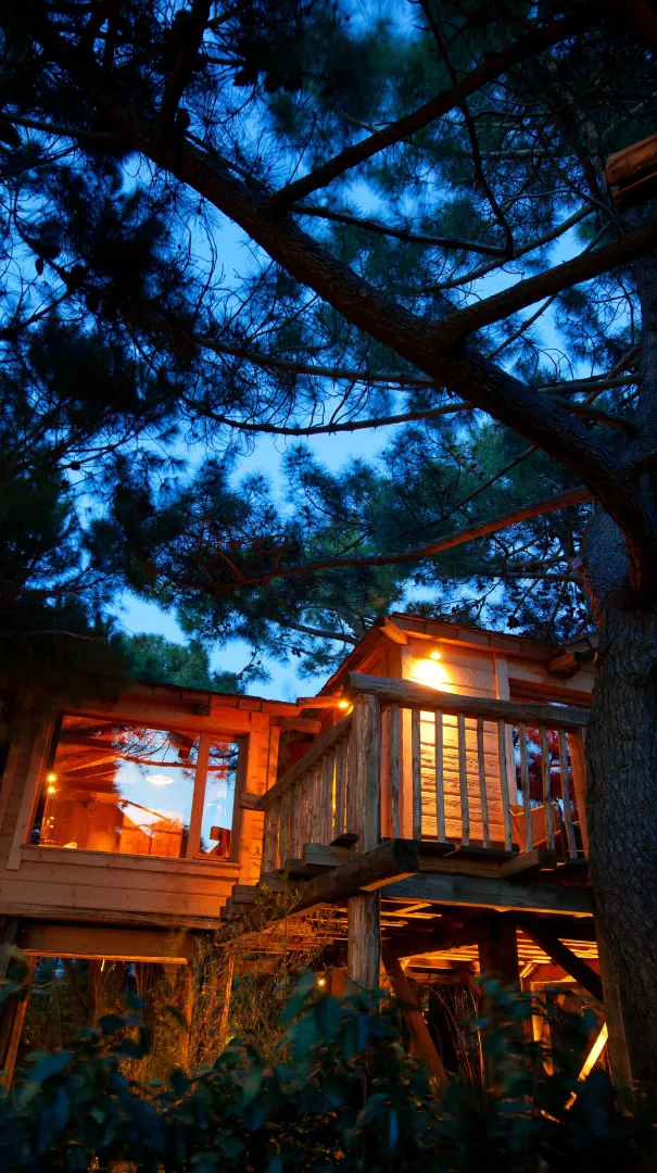Cabane de nuit