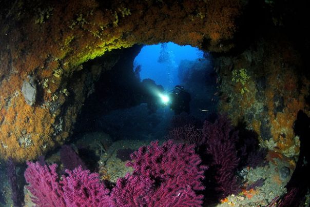 Plongée sous marine en Corse