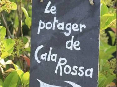 Potager