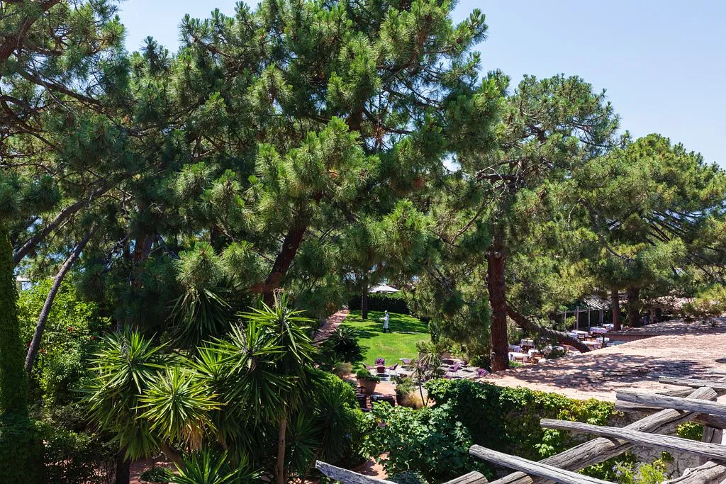 Suite Hôtel à Porto Vecchio