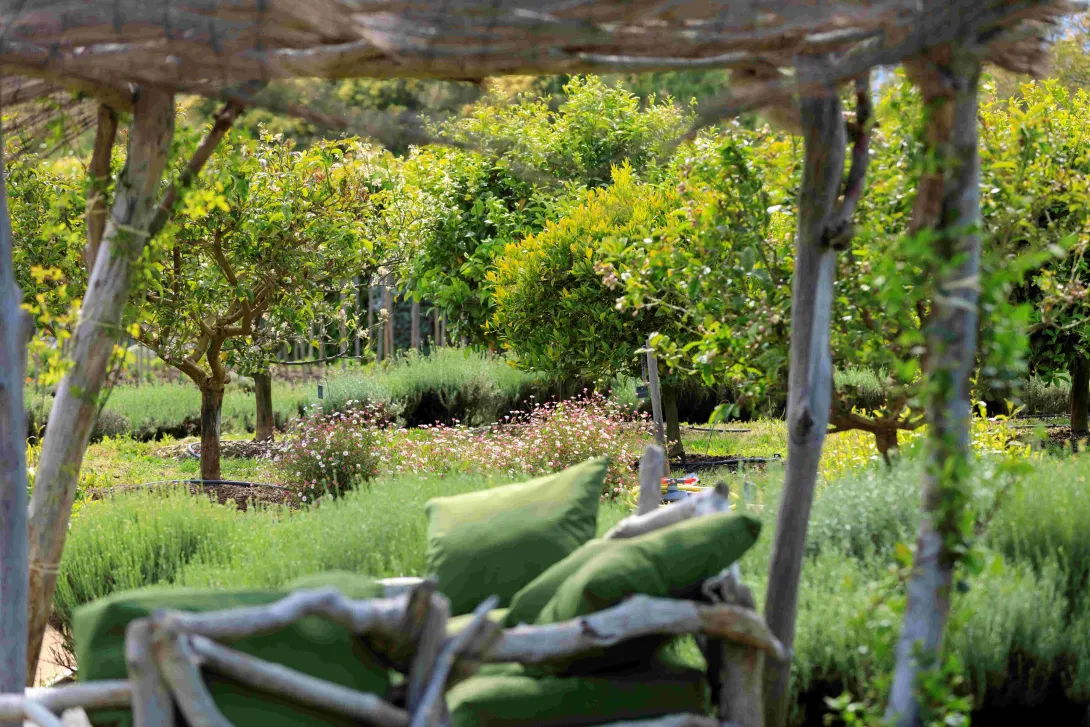 La Green Attitude en Corse du Sud