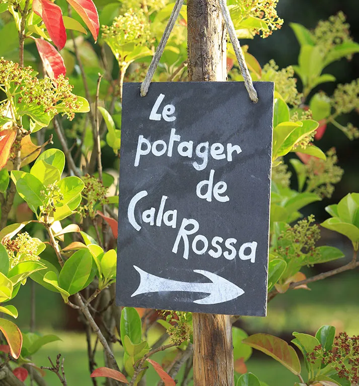 Le potager de Cala Rossa