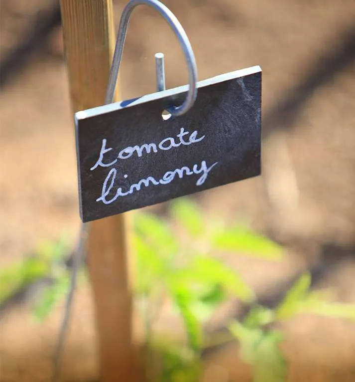 Le potager de Cala Rossa