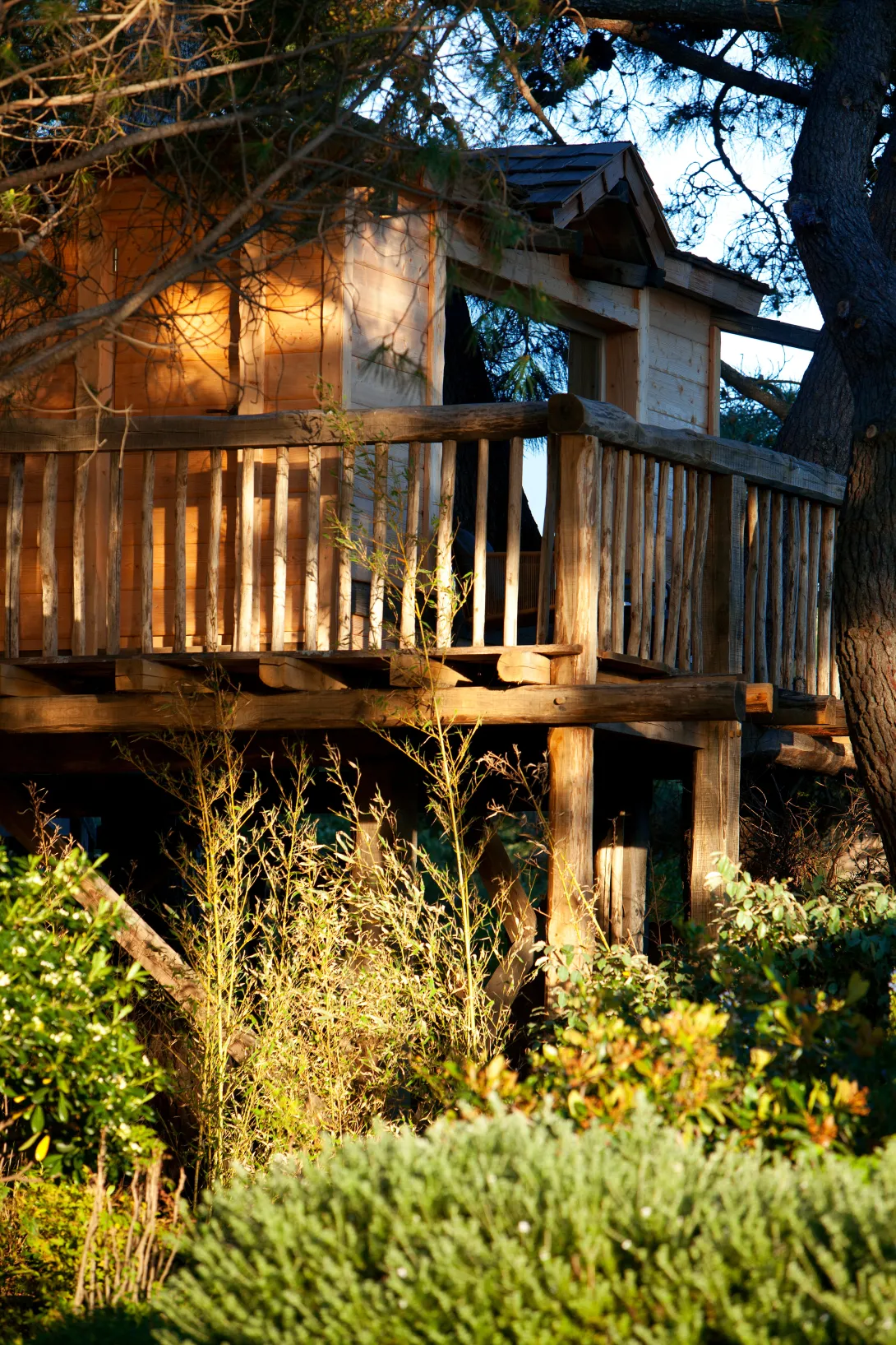 Cabane