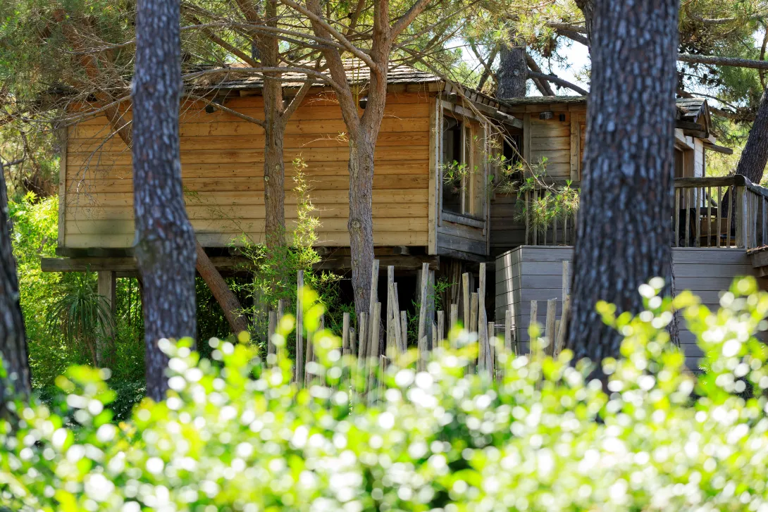 Cabane